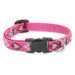 Puppy Love 1/2" Adjustable Small Dog Collar