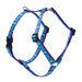 Sea Glass 1/2" Adjustable Small Dog Roman Harness