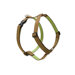 Copper Canyon 1" Roman Dog Harness