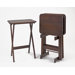 Rectangular Tray Table (Set of 4)