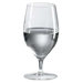 Classics 14 oz. Tasting / All Purpose Glass (Set of 4)