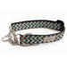 Blue Chevron Martingale Dog Collar