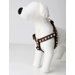 Blueberry Truffle Blue/Brown Dog Harness