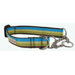Dublin Stripe Martingale Dog Collar