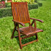 Woodson Folding Dining Arm Chair