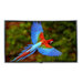 CineGray SilverFrame Series Silver Fixed Frame CineGray Screen - 84" Diagonal