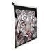 MaxWhite Manual Series Business / Education Manual Pull Down - 71" Diagonal in White Case