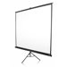 Tripod Manual Pull Up Projection Screen