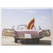 Gone Surfin Printed Canvas Art