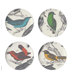 Ornithology Dessert Plate (Set of 4)