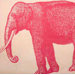 Elephant Napkin