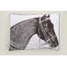 Thoroughbred Sham Set
