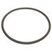 3 lbs Weighted Hula Hoop