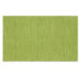 Ecconox Wavy Green Rug