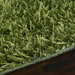 Vivid Green Rug