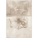 Contempo Cream Art Work Rug