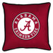 NCAA Sidelines Pillow