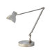 Sliver Desk Lamp