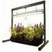 Jump Start Greenhouse