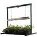 Jump Start Grow Light System