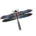 Refraxions Dragonfly 3D Wall Art
