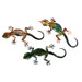 Refraxions Gecko 3D Wall Art (Set of 3)