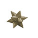 Dimensional Star Statue