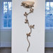 Flower Vine Wallchiere in Golden Bronze