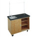 Economy Mobile Laboratory Table