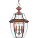 21" Newbury Outdoor  Hanging Lantern in Aged Copper