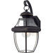 14" Newbury Outdoor Wall Lantern in Medici Bronze