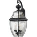 29" Newbury Outdoor  Wall Lantern in Mystic Black