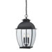 Bain 3 Light Outdoor Hanging Lantern