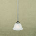 Delray 1 Light Pendant