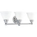 Botanical  Vanity Light in Chrome