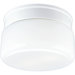 Glass White Snap-in Fitter 2 Light Flush Mount