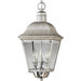 Andover Incandescent Hanging Outdoor Lantern in Silver