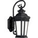 Georgian Gilded Iron  Incandescent Outdoor Wall Lantern