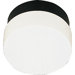 Hard-Nox 1 Light Outdoor Lantern
