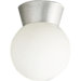 Hard-Nox Impact Resistant Flush Mount Outdoor Lantern