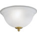 Energy Star Ribbed Etched Glass Fluorescent Flush