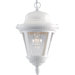 Westport Hanging Lantern in Outdoor White