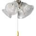 AirPro Four Light Universal Ceiling Fan Light Kit