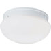 Melon 6" 2 Light Flush Mount