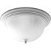 Melon 2 Light Close-To-Ceiling Flush Mount