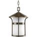 X3848 Series Welcome 1 Light Outdoor Hanging Lantern