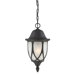 Wiltshire 1x13W Outdoor Hanging Lantern in Black