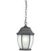 Covington 1x13W Outdoor Hanging Lantern in Black