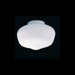 Round Flush Mount Globe