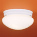 2 Light Glass Shade Flush Mount
